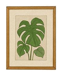 Quadro planta
